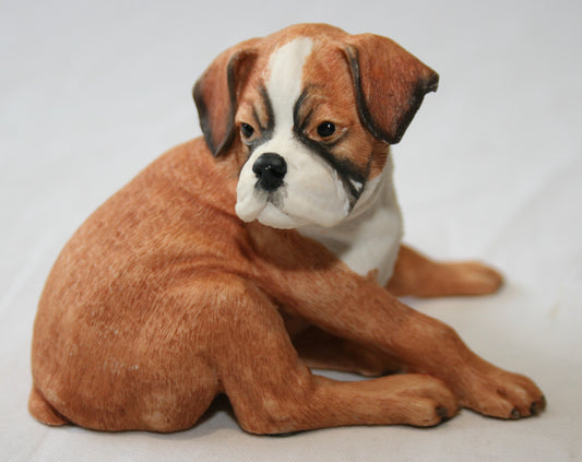Border Fine Arts boxer dog puppy figure