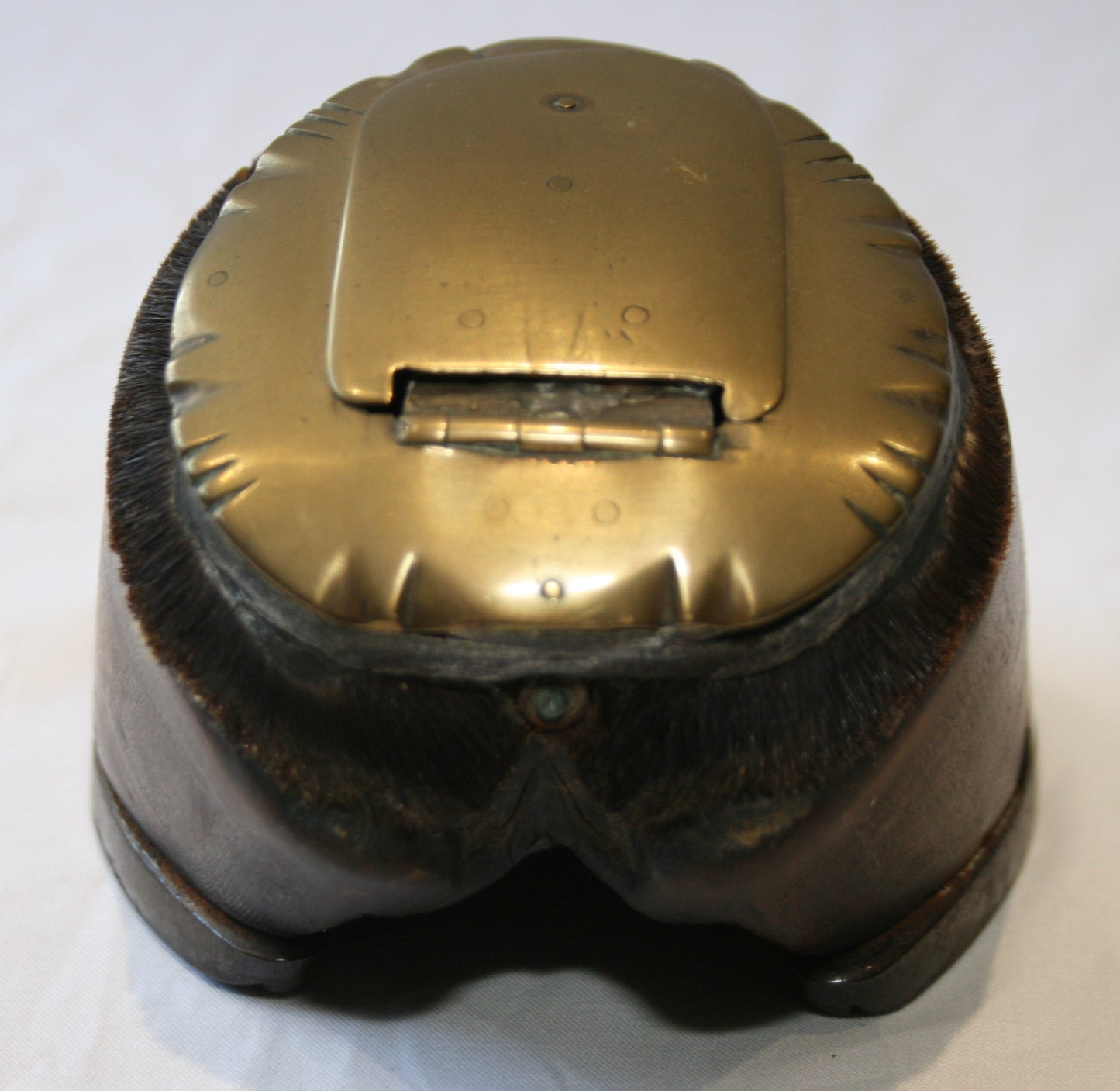 Vintage horse hoof snuff box