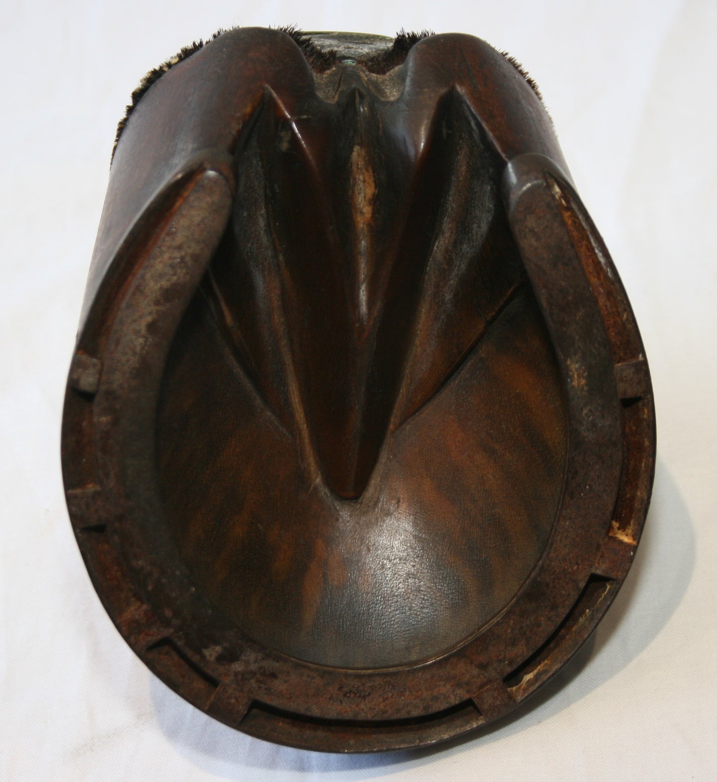 Vintage horse hoof snuff box
