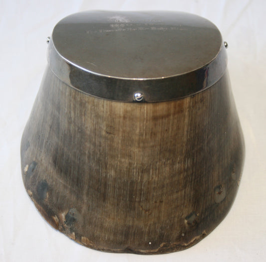 Commemorative horses hoof - Baby Don