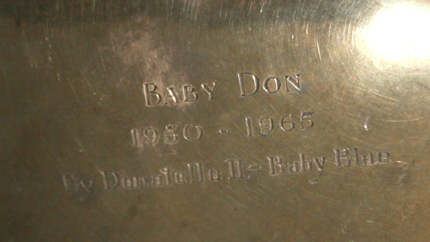 Commemorative horses hoof - Baby Don